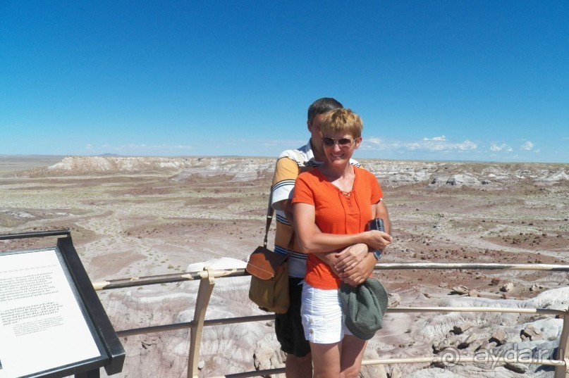 Окаменелый лес в Раскрашенной пустыне