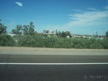 Альбом отзыва "Национальный парк Сагуаро. Кактусы, только кактусы"