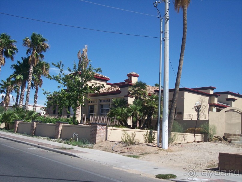 Национальный парк Сагуаро. Кактусы, только кактусы