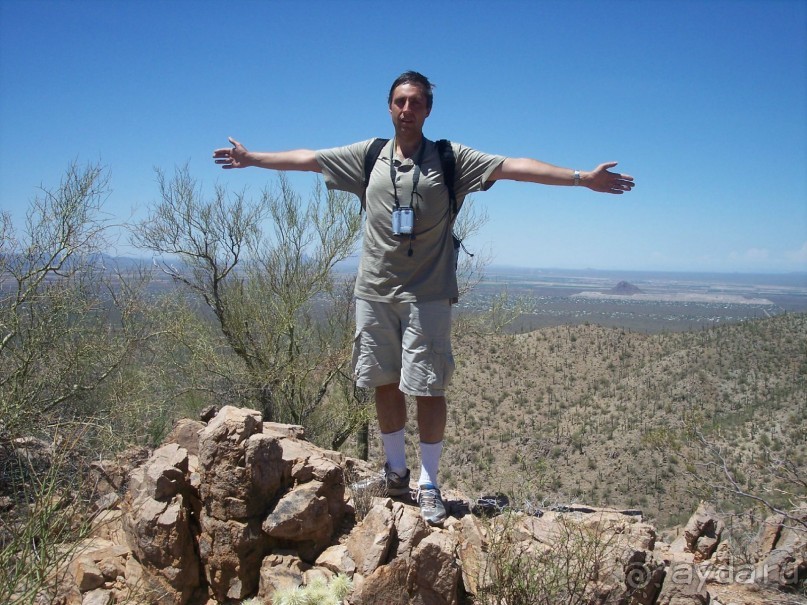 Национальный парк Сагуаро. Кактусы, только кактусы