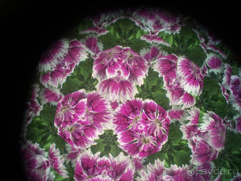 Аризона 2. Джером – город призрак