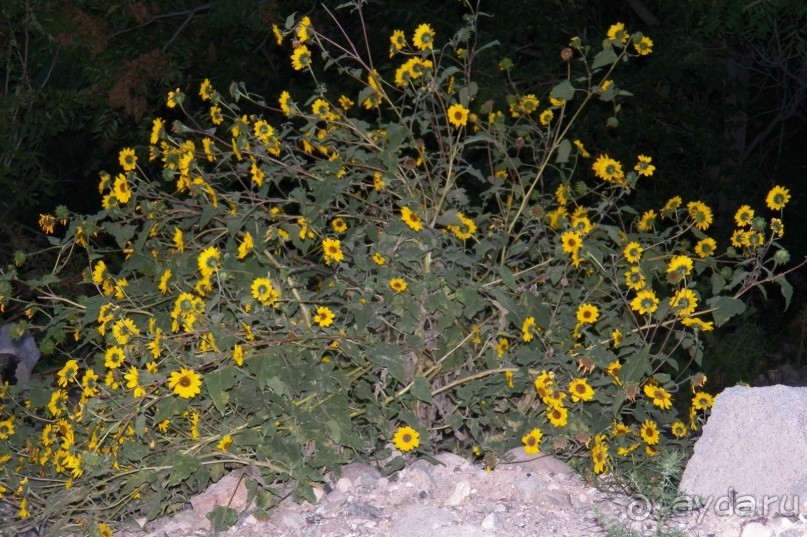 Аризона 2. Джером – город призрак