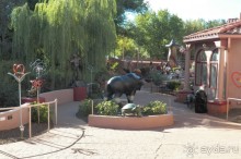 Галереи Седоны – достопримечательность для ленивых