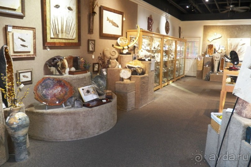 Галереи Седоны – достопримечательность для ленивых