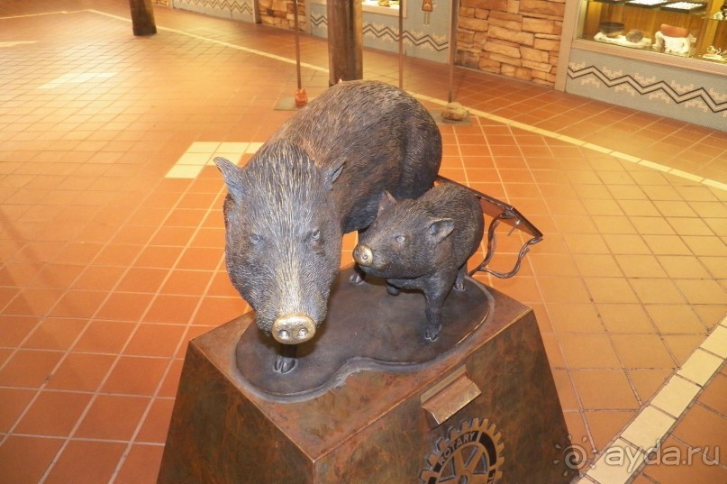 Галереи Седоны – достопримечательность для ленивых