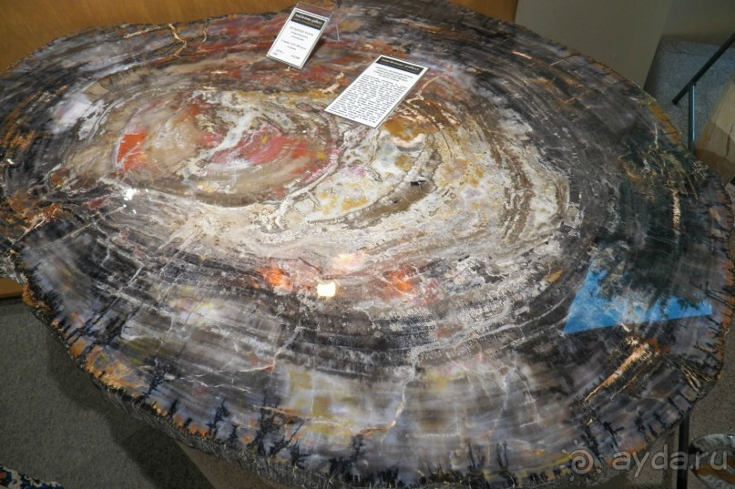 Галереи Седоны – достопримечательность для ленивых