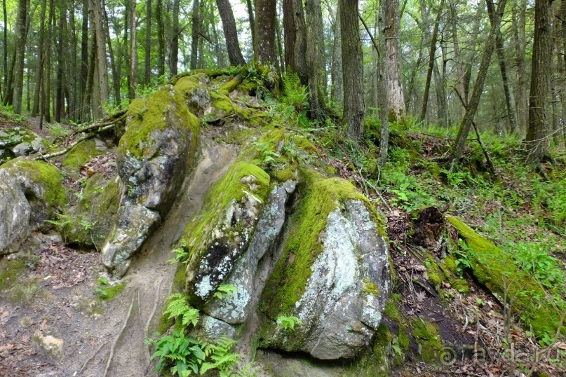 Кентский Водопад – самый красивый в Коннектикуте