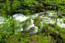 Кентский Водопад – самый красивый в Коннектикуте