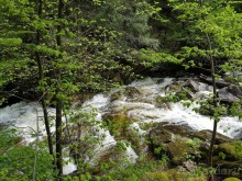 Альбом отзыва "Кентский Водопад – самый красивый в Коннектикуте"