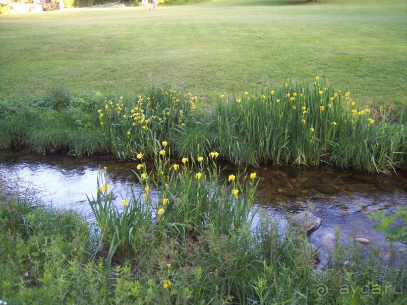 Кентский Водопад – самый красивый в Коннектикуте