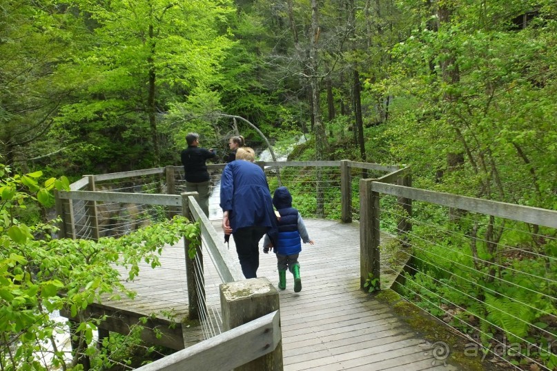 Кентский Водопад – самый красивый в Коннектикуте