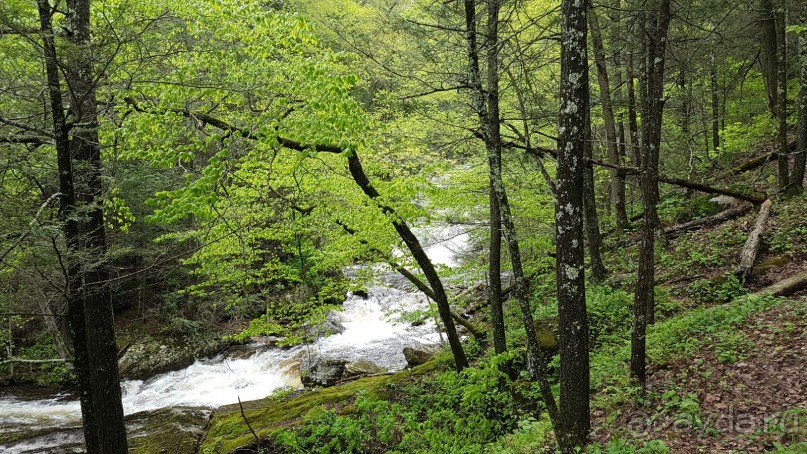 фото Коннектикута