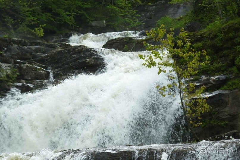 Альбом отзыва "Кентский Водопад – самый красивый в Коннектикуте"