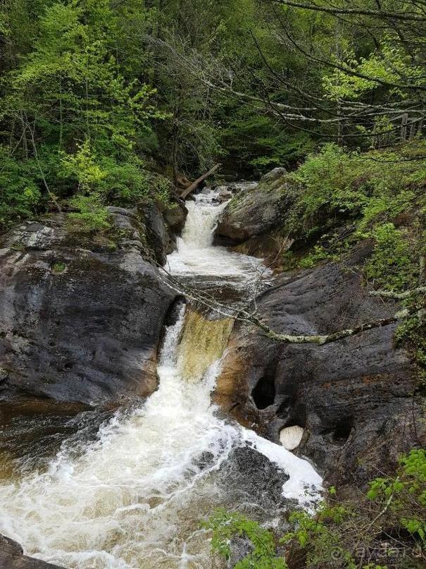 фото Коннектикута