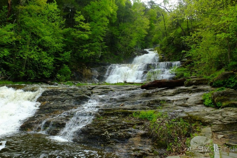 Альбом отзыва "Кентский Водопад – самый красивый в Коннектикуте"