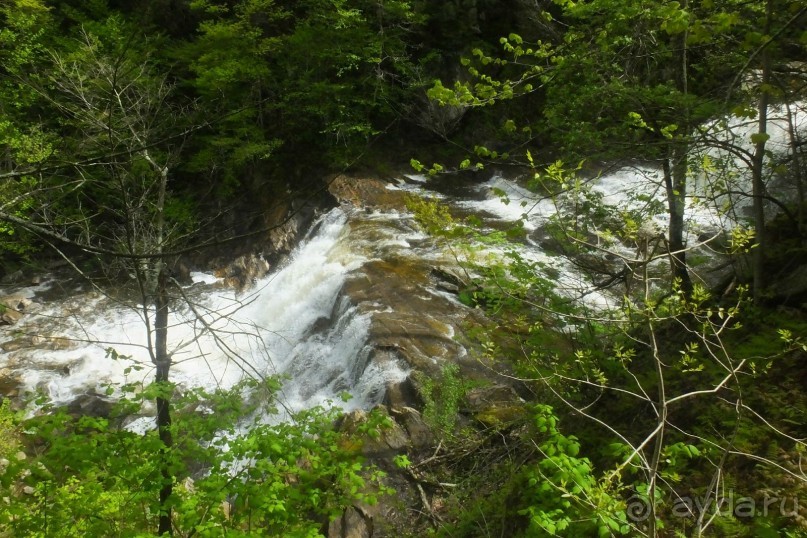 Альбом отзыва "Кентский Водопад – самый красивый в Коннектикуте"