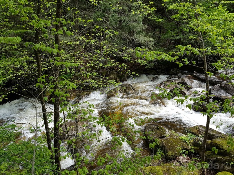 фото Коннектикута