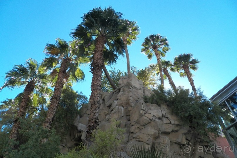 Лас-Вегас – царство бутафории