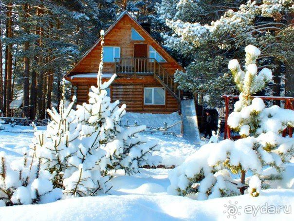 На снегоходах в гору и обратно (не без приключений)