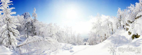На снегоходах в гору и обратно (не без приключений)