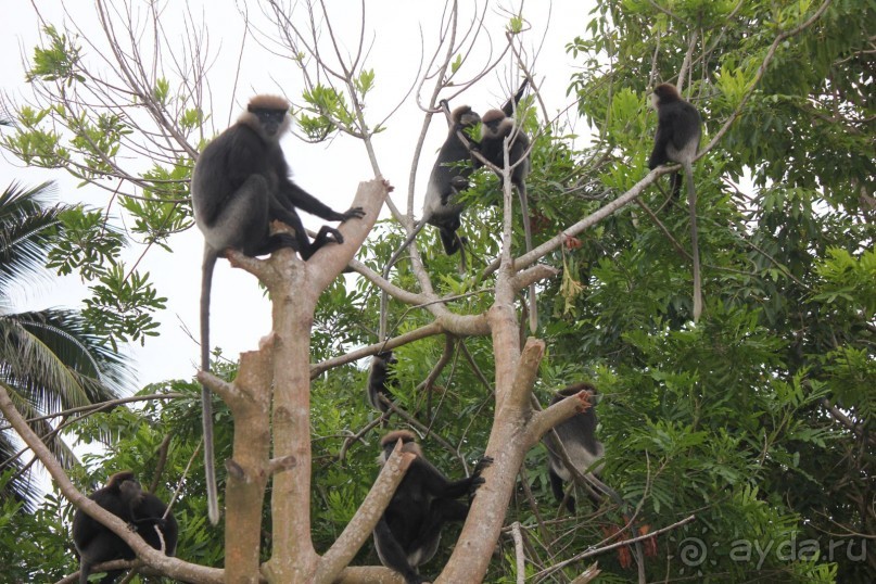 фото Ахунгалы