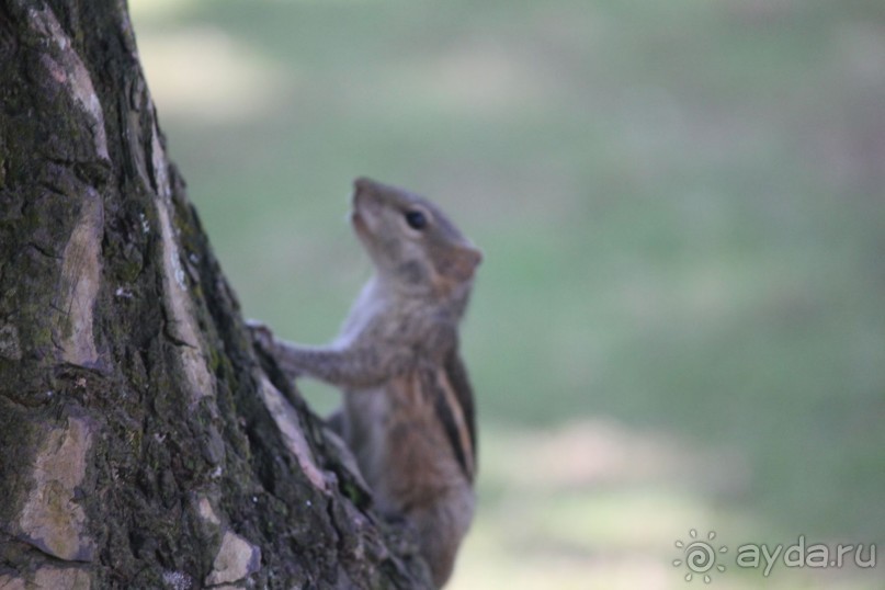 отдых анварь - февраль 2017