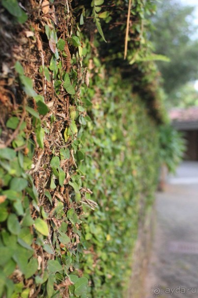 отдых анварь - февраль 2017