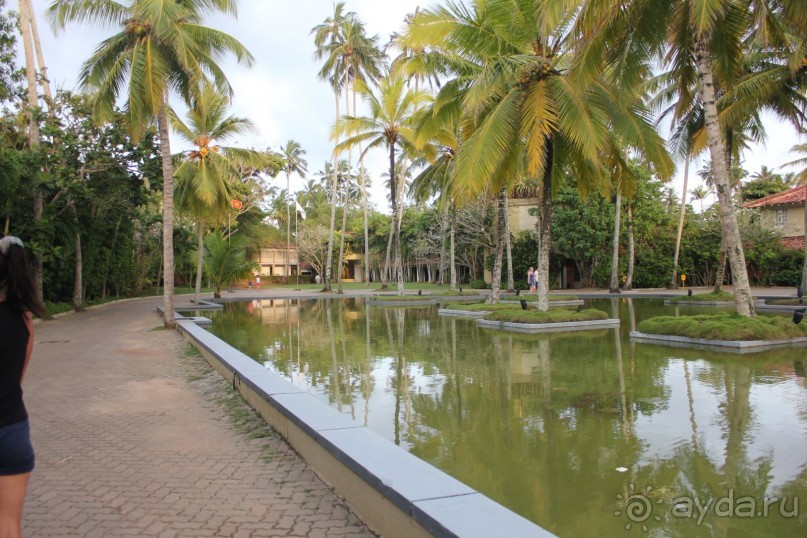 отдых анварь - февраль 2017