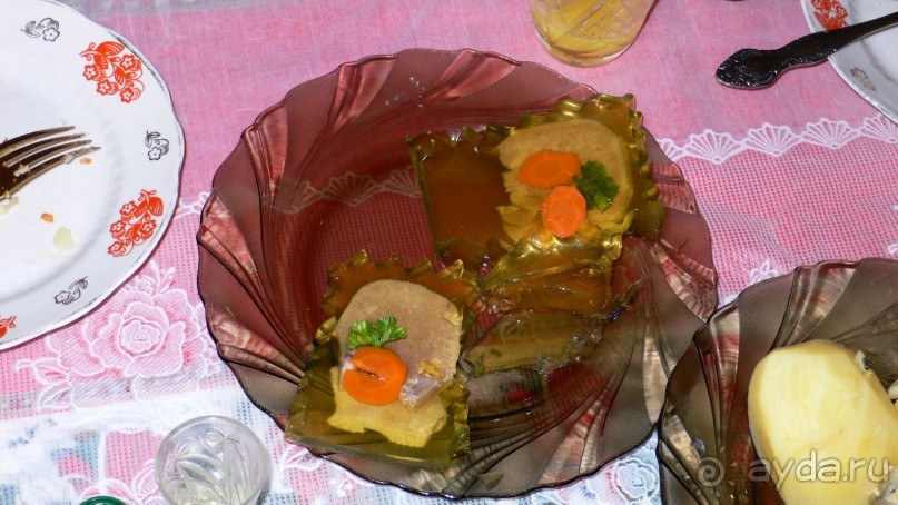 Отдых в Беларуси