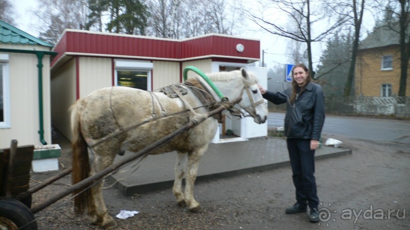 Отдых в Беларуси