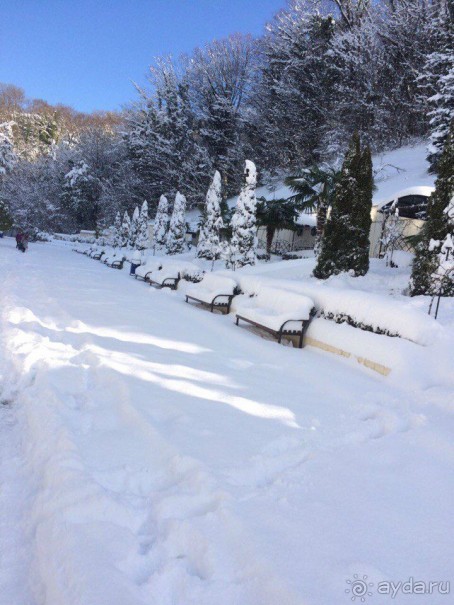 Сочи-удивительный город