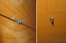 “Отличное место, неплохая идея, но ужасная реализация”