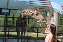 фото Большой Ялты