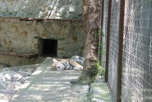 Зоопарк "Сказка" Крым г.Ялта