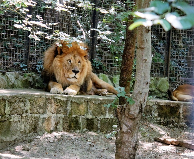 Зоопарк "Сказка" Крым г.Ялта