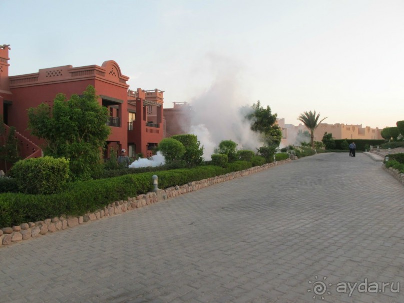 Незабываемый, яркий, приветливый отель Sea Life Resort в Шарм-эш-Шейх!