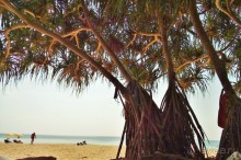  Отель для полного релакса