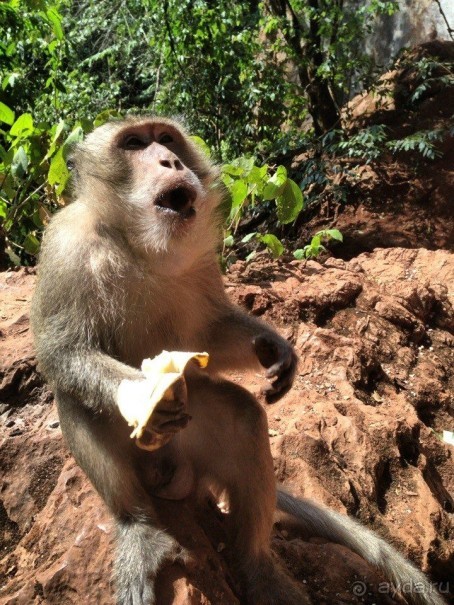 Отдых в Тайланде