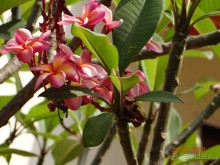 чёткая двушка)))