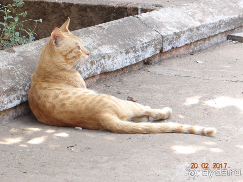 чёткая двушка)))