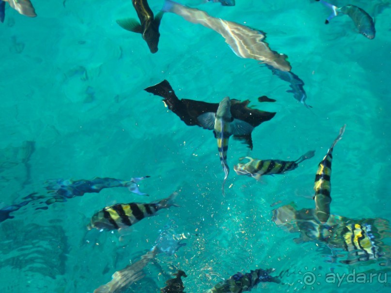 Первый отдых в Египте- не комом!