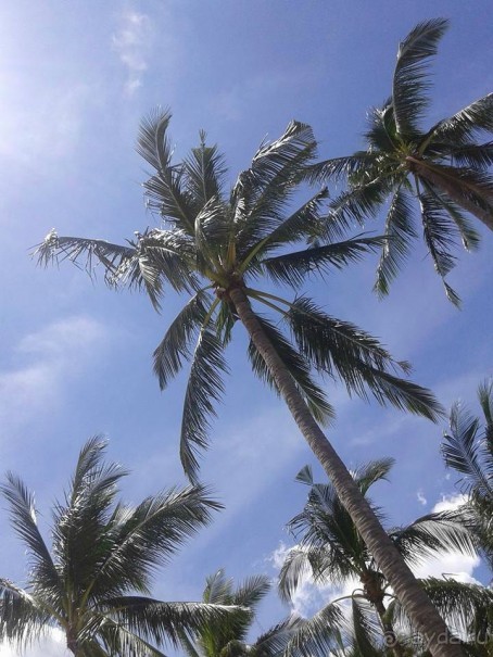 Отдых на о.Самуи