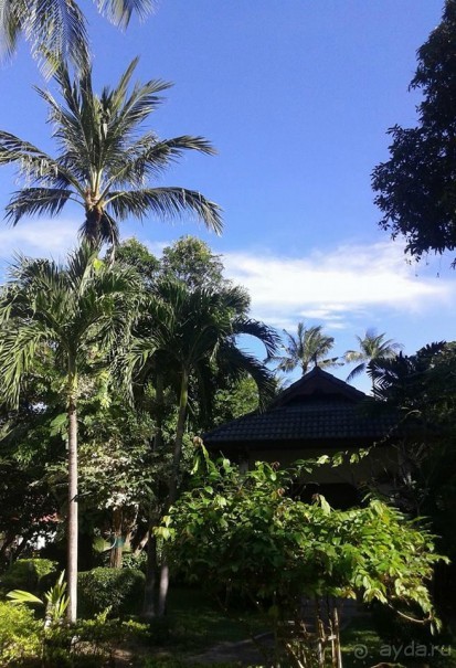 Отдых на о.Самуи