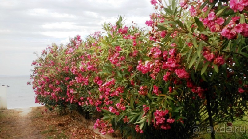 Скромный отдых по европейски