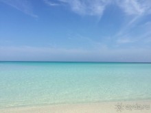 Первоклассная четверка