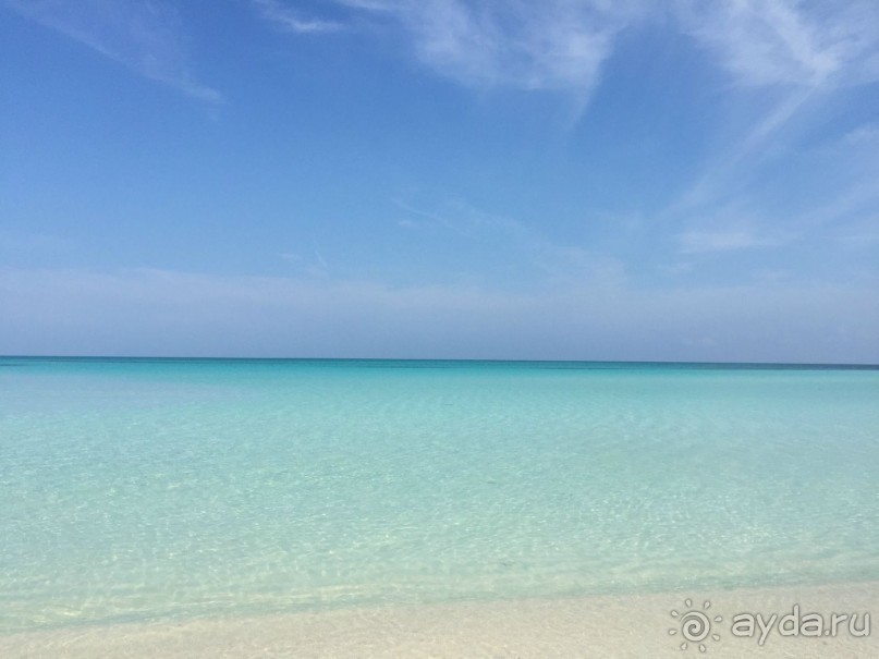 Первоклассная четверка