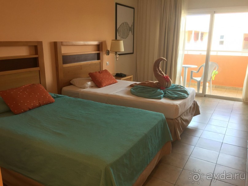 Первоклассная четверка