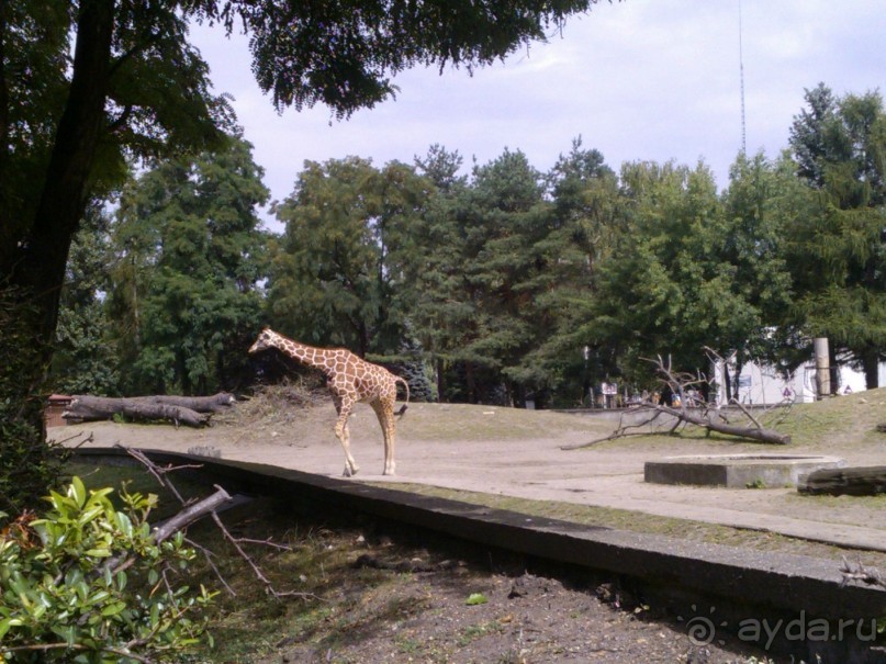 3 дня в королевской Польше