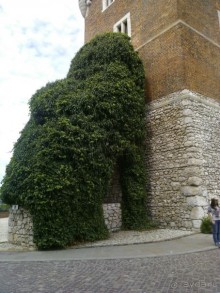 3 дня в королевской Польше