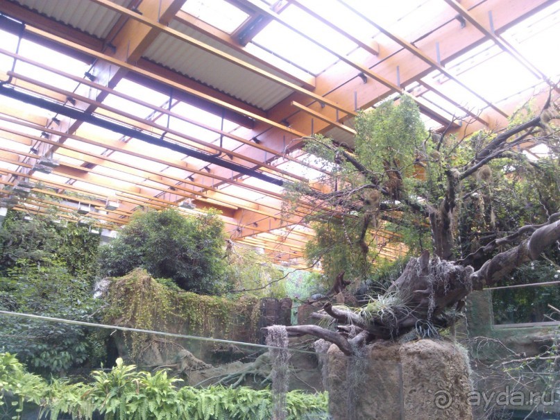 Альбом отзыва "3 дня в королевской Польше"